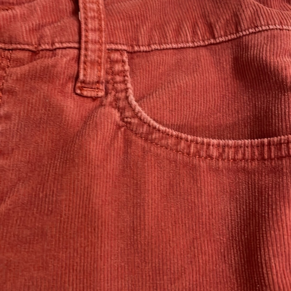 Pilcro & Letterpress Jeans - Picture 6 of 9